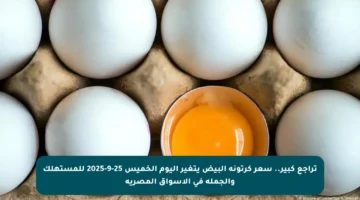 تراجع كبير.. سعر كرتونة البيض يتغير اليوم الخميس 25-9-2025 للمستهلك والجملة في الأسواق المصرية